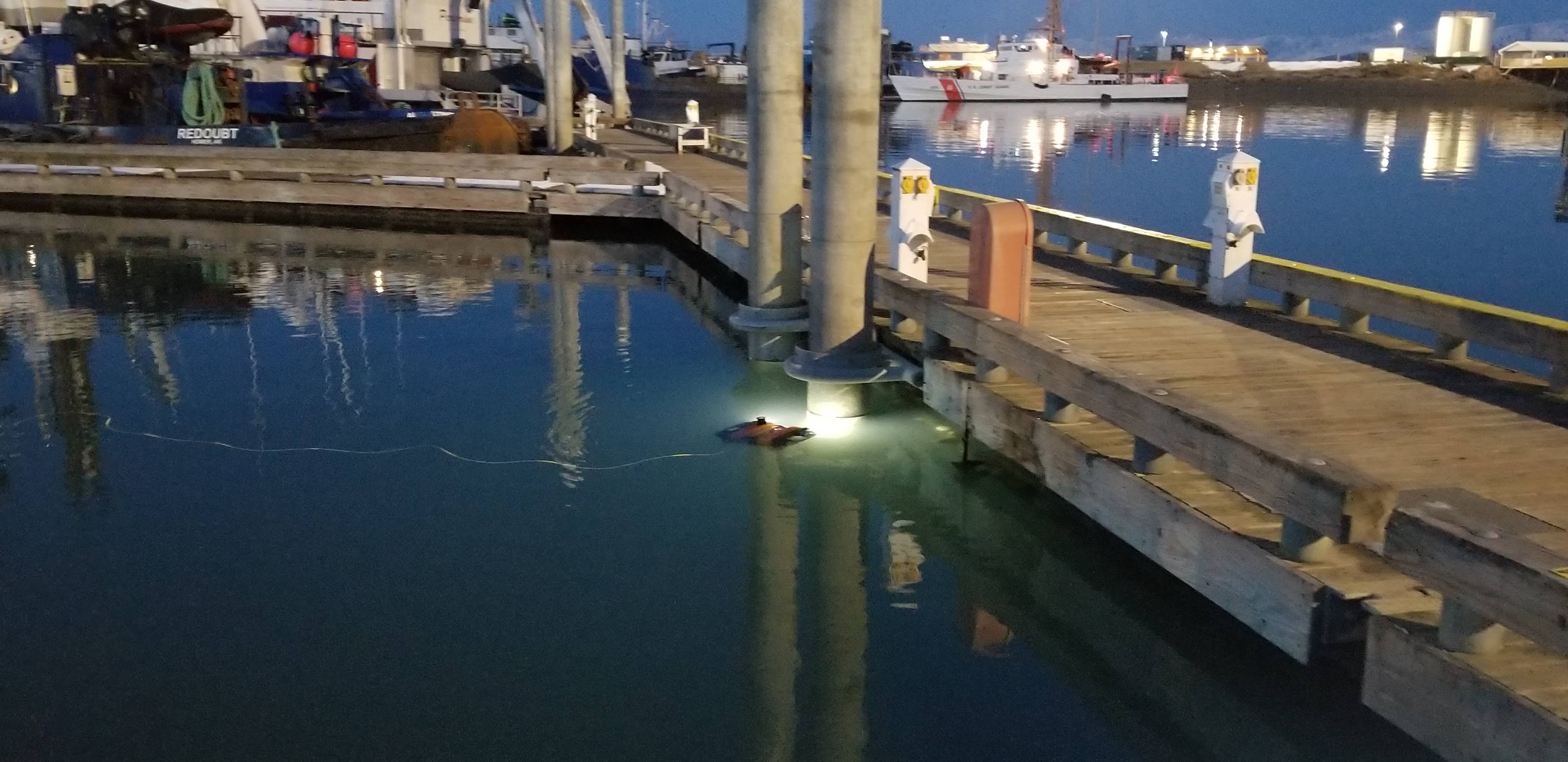 Vision Subsea using an ROV at a port